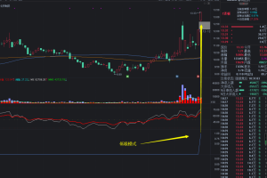 金钻原价2000【小楷超级竞价秘籍】竞价低吸+激进模式二合一 玩转竞价 指标源码 副图选股