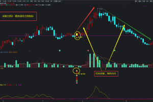 通达信珍藏版【龙头战狼】金钻套装终极盈利模式 胜者为王 终级赢利模式