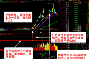 【主力资金突破】套装指标 看清主力动向 跟随主力吃肉 资金趋势选股实